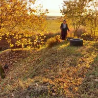 camping-pikkolovo-mozhayskoye-village-bfjzw