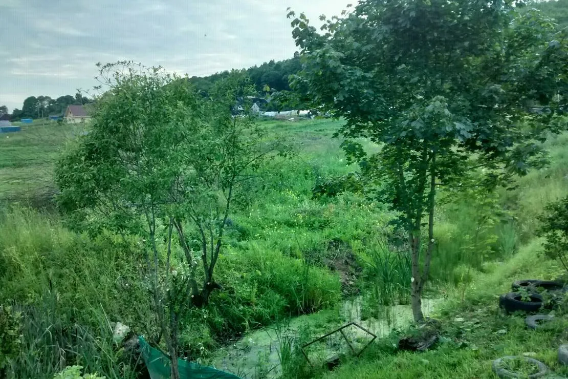 camping-pikkolovo-mozhayskoye-village-dqmna