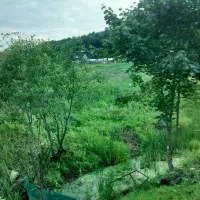 camping-pikkolovo-mozhayskoye-village-dqmna