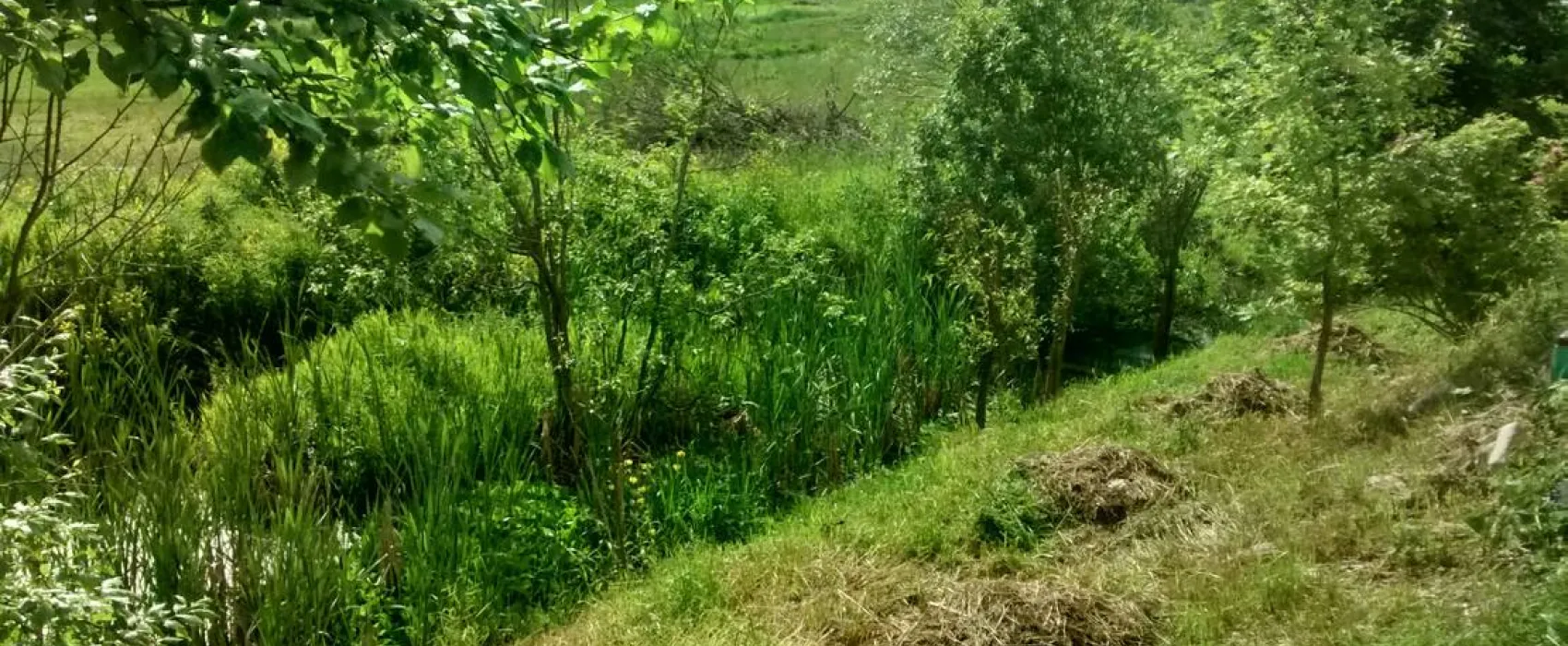 Camping Pikkolovo