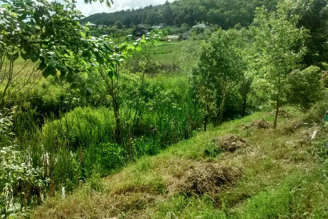 camping-pikkolovo-mozhayskoye-village-kyqgx