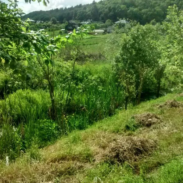Camping Pikkolovo