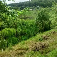Camping Pikkolovo