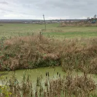 camping-pikkolovo-mozhayskoye-village-othul