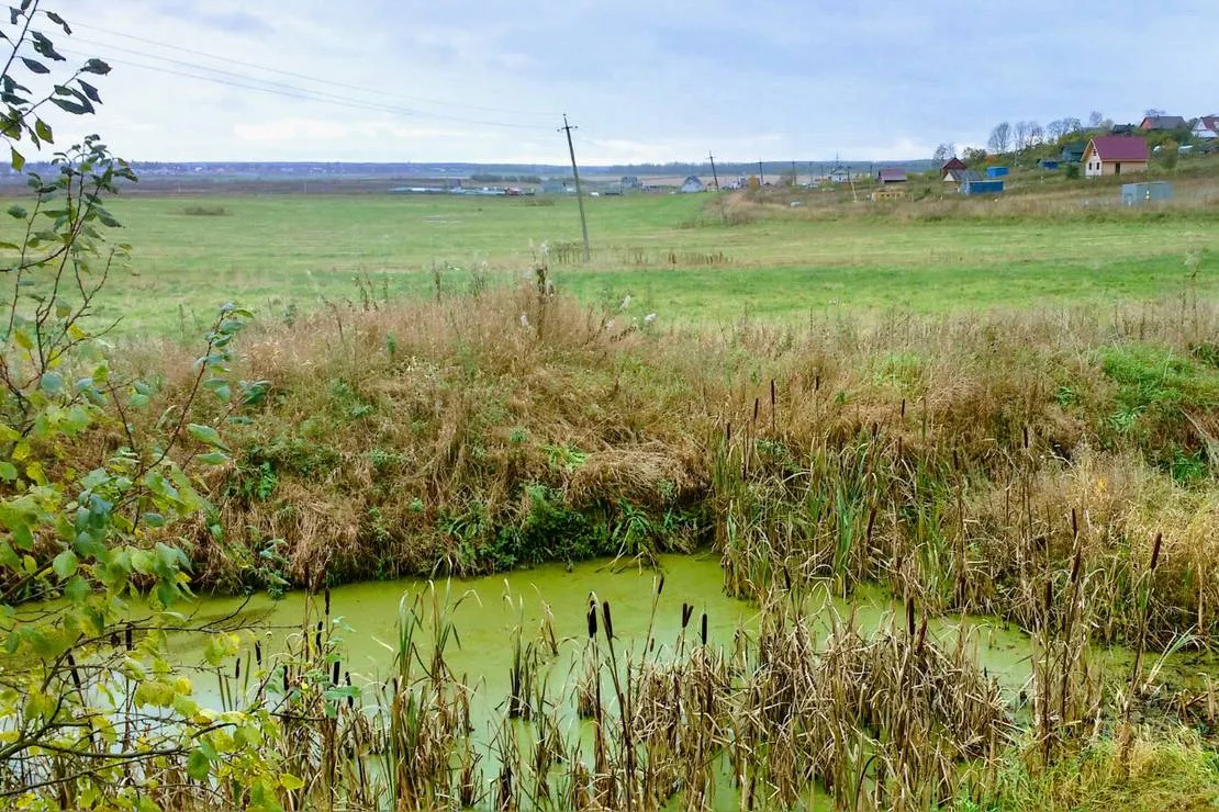 camping-pikkolovo-mozhayskoye-village-srvus