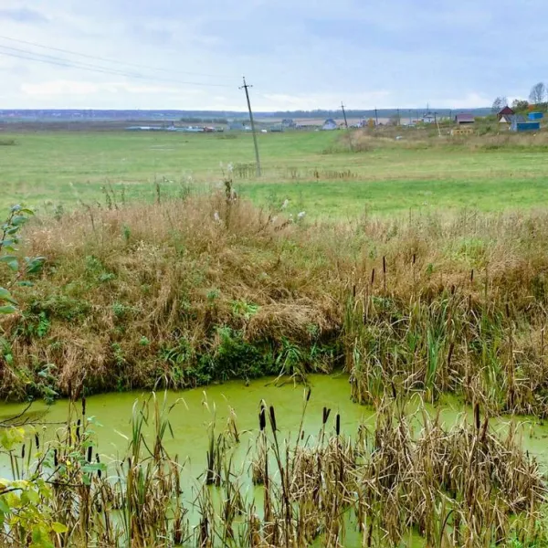 camping-pikkolovo-mozhayskoye-village-srvus