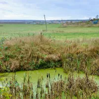 camping-pikkolovo-mozhayskoye-village-srvus