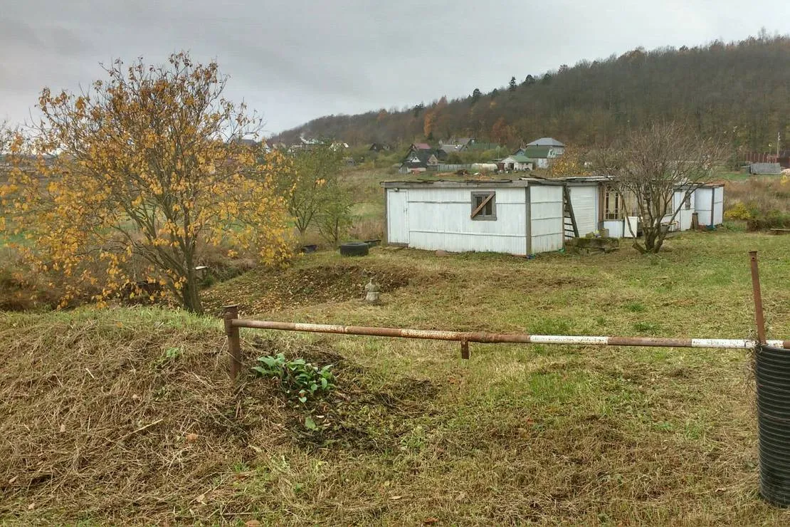 camping-pikkolovo-mozhayskoye-village-tzrhq