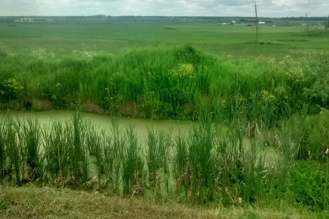 camping-pikkolovo-mozhayskoye-village-uzbgc