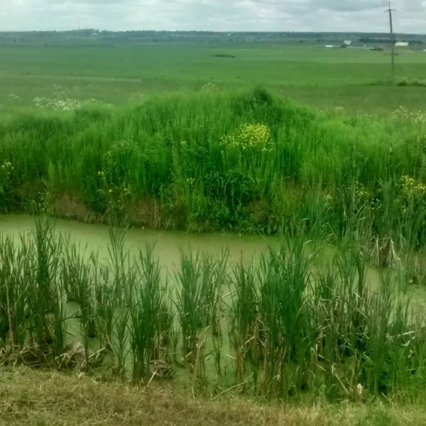 camping-pikkolovo-mozhayskoye-village-uzbgc