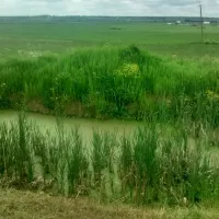 camping-pikkolovo-mozhayskoye-village-uzbgc