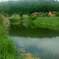 camping-pikkolovo-mozhayskoye-village-yjesp
