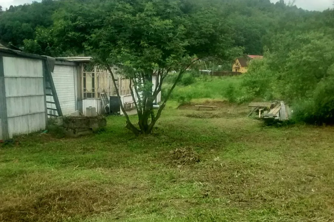 camping-pikkolovo-mozhayskoye-village-ynkb8
