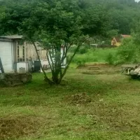 camping-pikkolovo-mozhayskoye-village-ynkb8