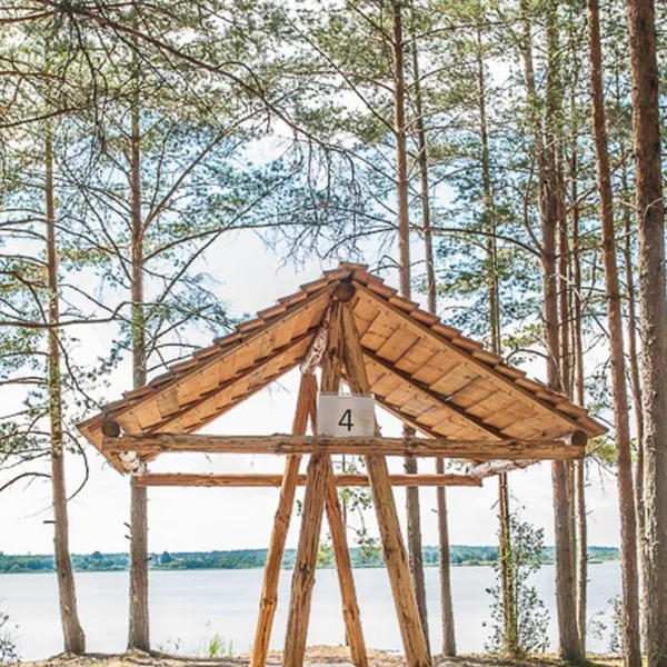klevoe-mesto-vyazin-0myfk