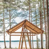klevoe-mesto-vyazin-0myfk