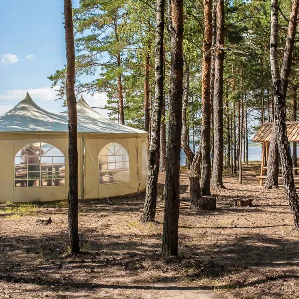 klevoe-mesto-vyazin-rsncl