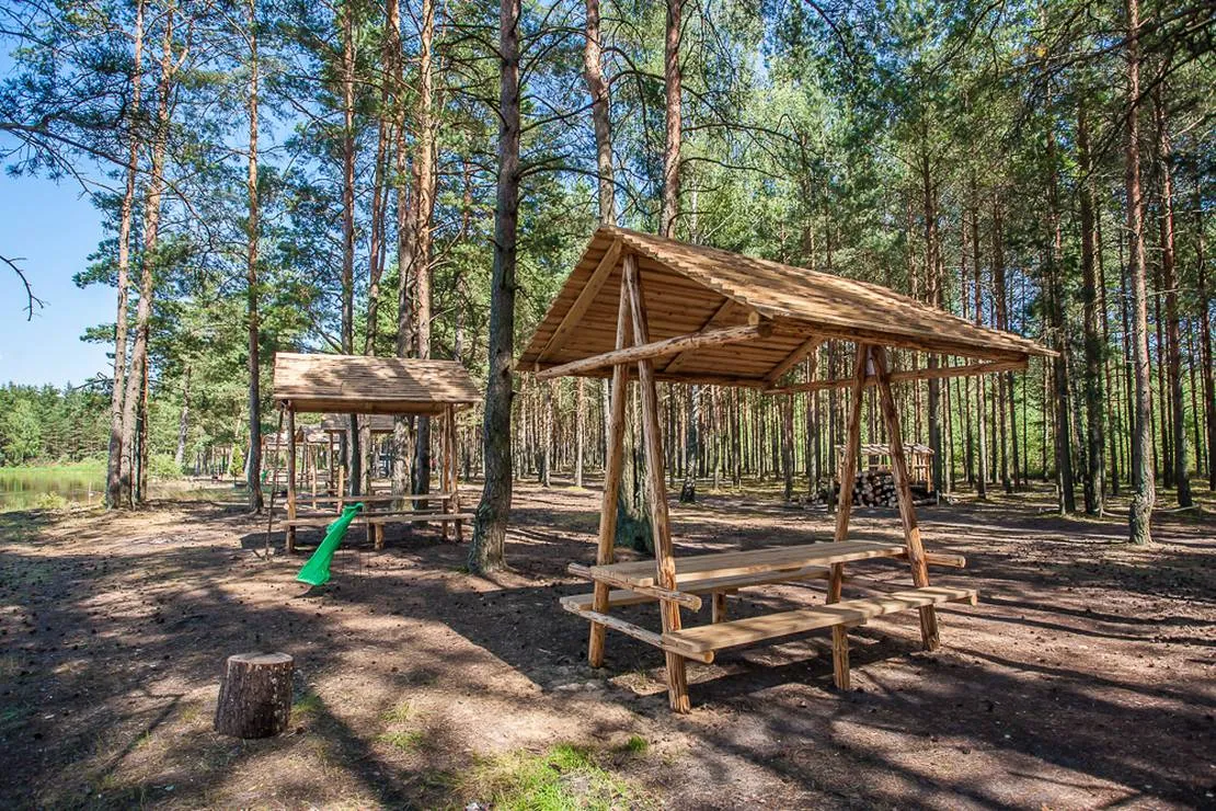 klevoe-mesto-vyazin-thgcw