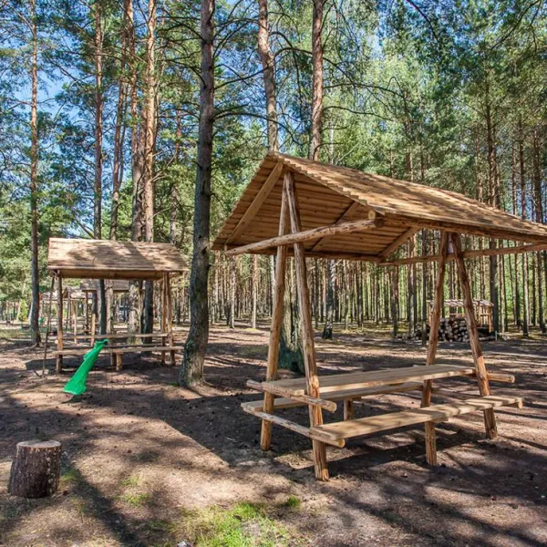 klevoe-mesto-vyazin-thgcw