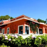 ohai-nazare-outdoor-resort-nazare-m8xhc