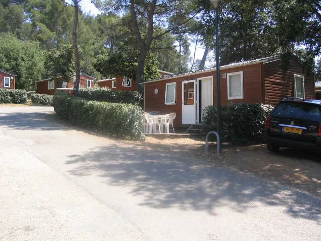 domaine-de-la-foret-de-janas-la-seyne-sur-mer-8gs61
