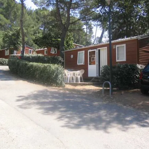 domaine-de-la-foret-de-janas-la-seyne-sur-mer-8gs61