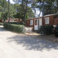 domaine-de-la-foret-de-janas-la-seyne-sur-mer-8gs61