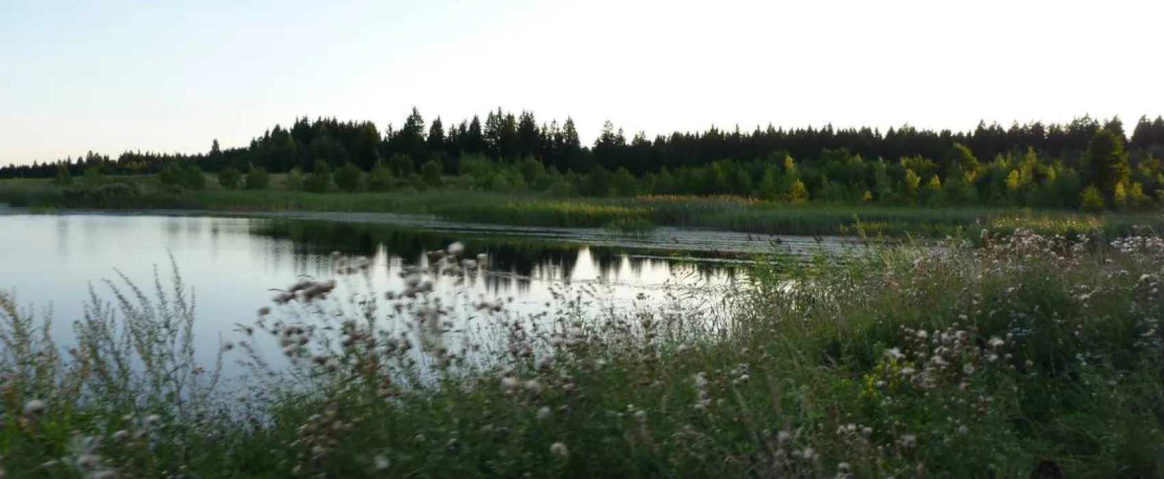 Szarejkowe Wzgórza