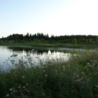 szarejkowe-wzgorza-kowale-oleckie-hrefa