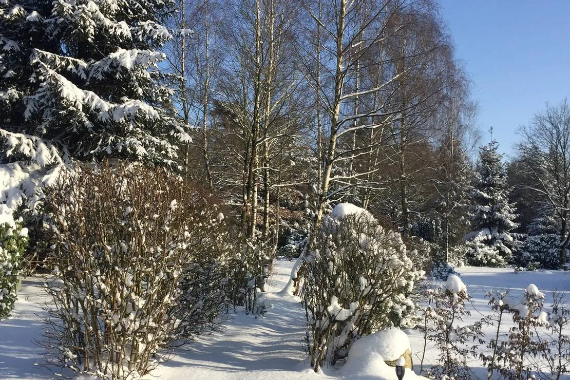 moorcamp-warmsen-3rxyl