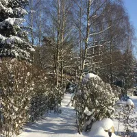 moorcamp-warmsen-3rxyl