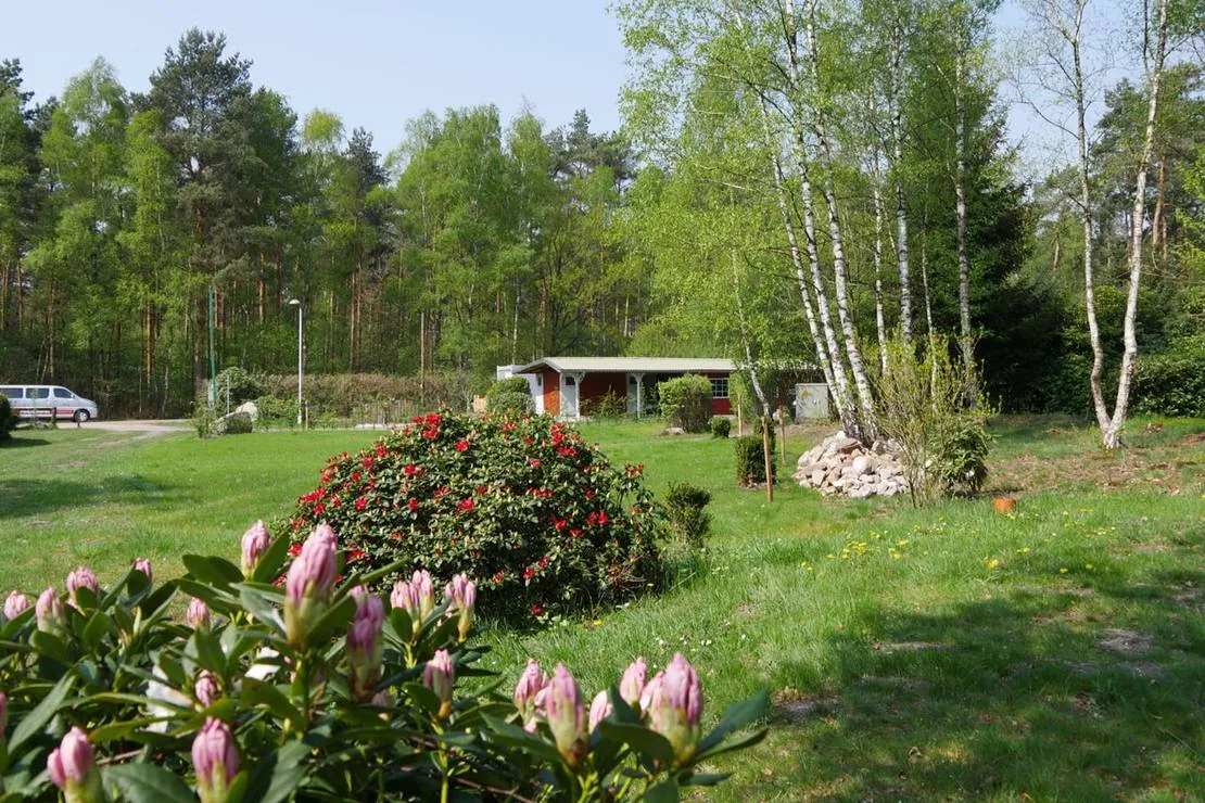 moorcamp-warmsen-beioa