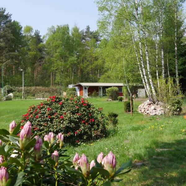 moorcamp-warmsen-beioa
