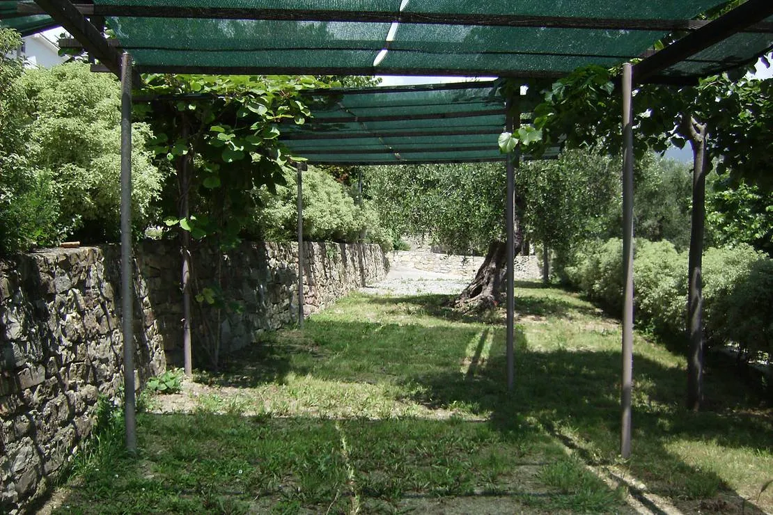 agricamping-a-bunda-di-alessandro-giraudi-bordighera-hlrys