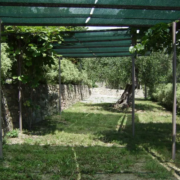 agricamping-a-bunda-di-alessandro-giraudi-bordighera-hlrys