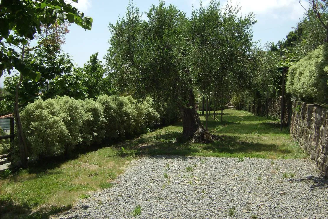 agricamping-a-bunda-di-alessandro-giraudi-bordighera-itvsg