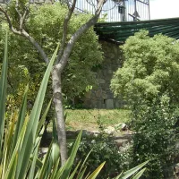 agricamping-a-bunda-di-alessandro-giraudi-bordighera-xuoxd