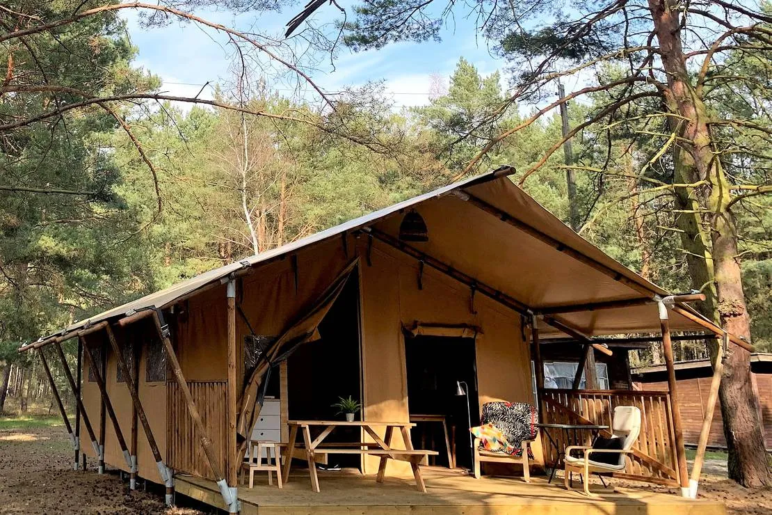 camp-bursztynowy-las-gdansk-dksjx