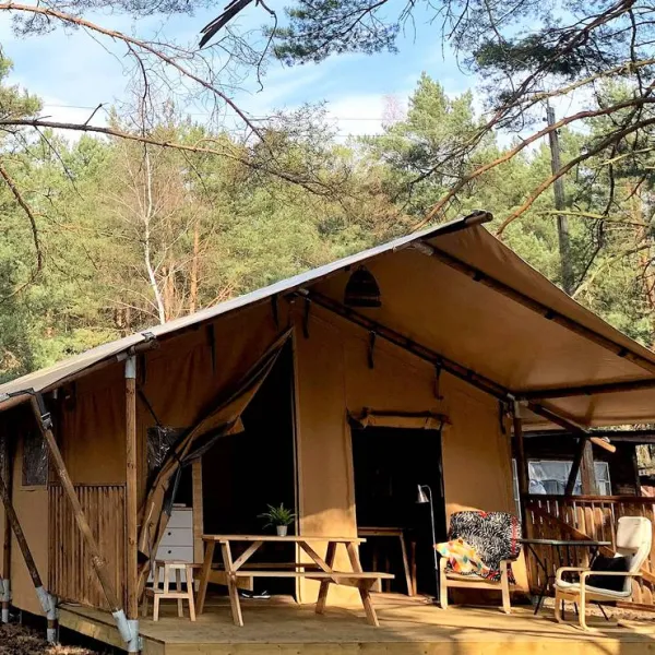 camp-bursztynowy-las-gdansk-dksjx