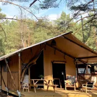 camp-bursztynowy-las-gdansk-dksjx