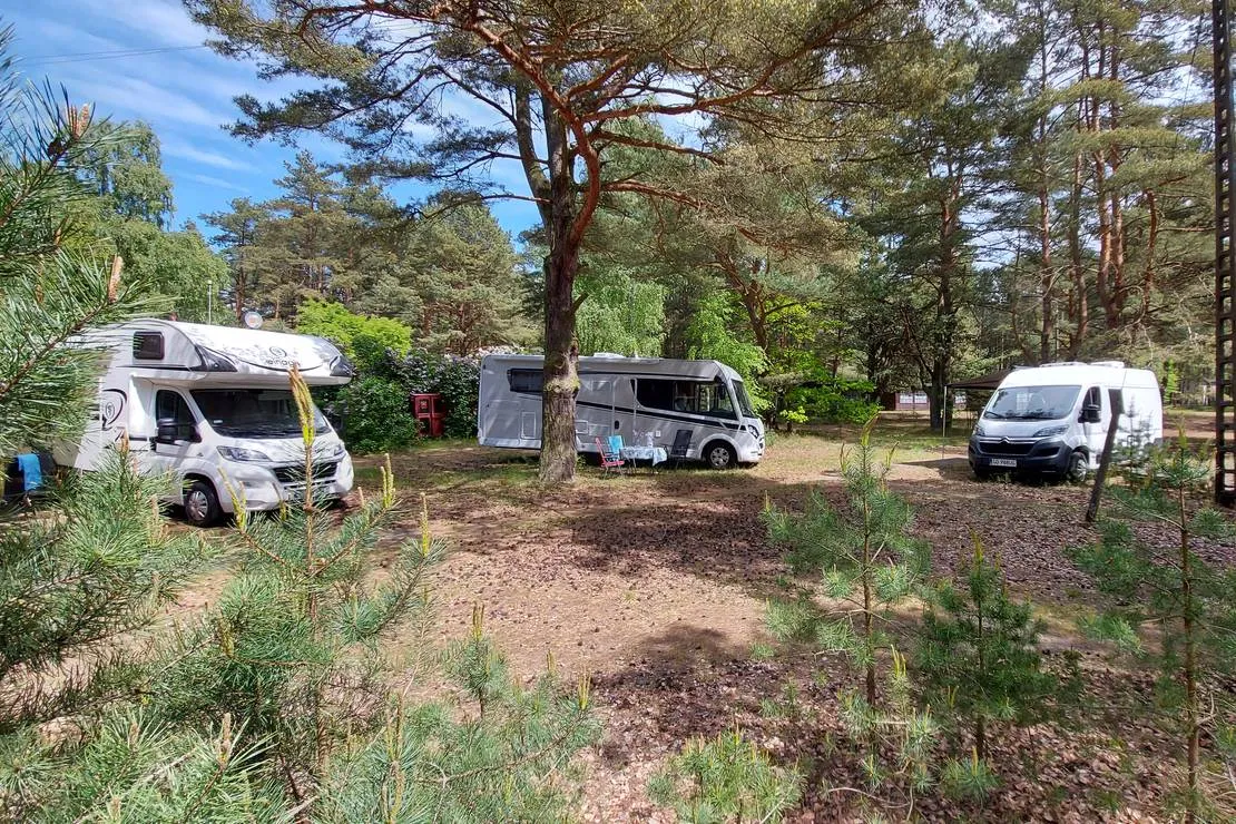 camp-bursztynowy-las-gdansk-xywth