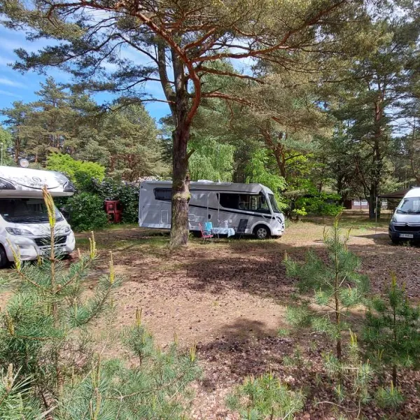 Camp Bursztynowy Las