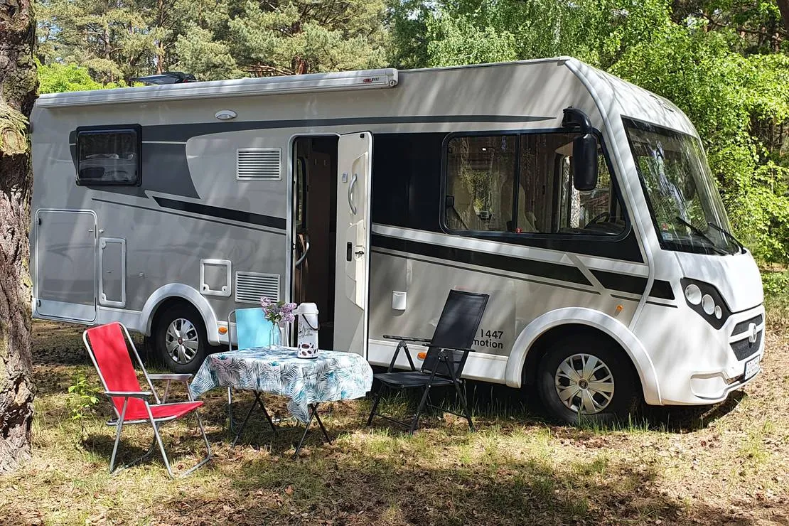 camp-bursztynowy-las-gdansk-ydw89