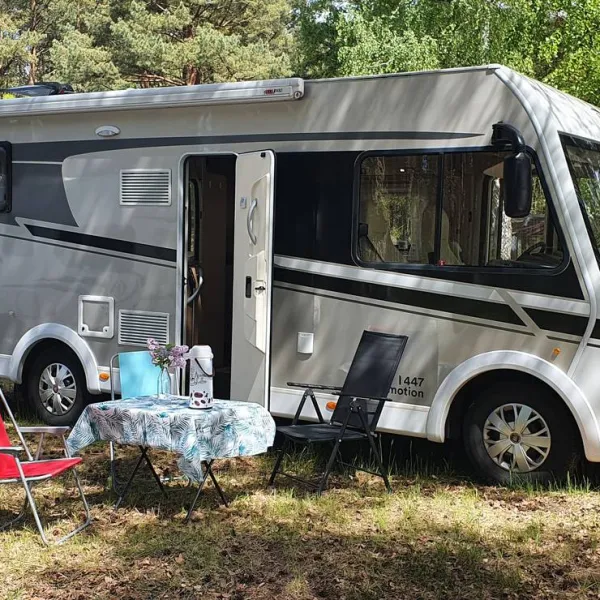 camp-bursztynowy-las-gdansk-ydw89