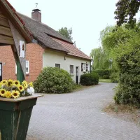 de-beekloop-bergeijk-1j488