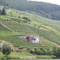 baren-camp-bullay-wyk6h
