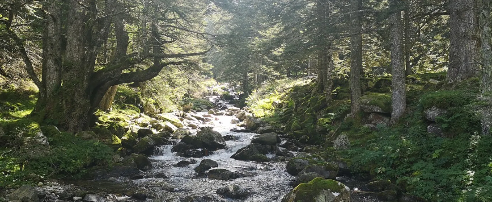 Pyrénées Natura