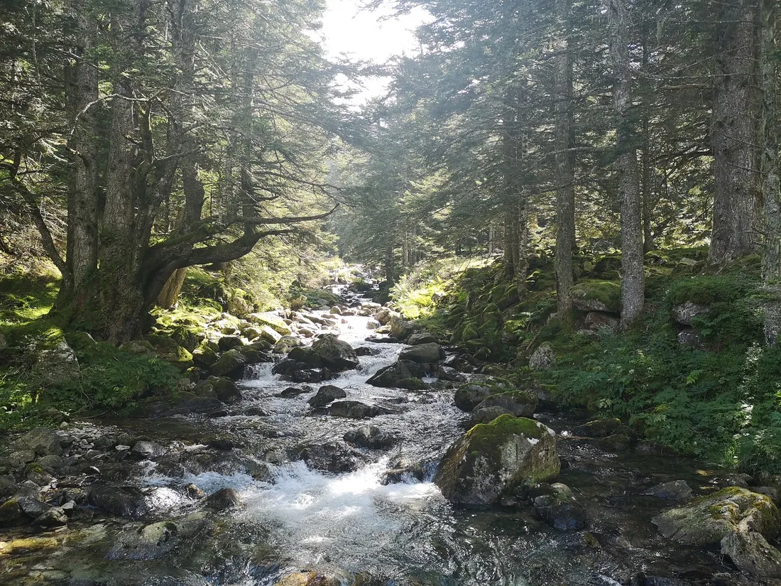 pyrenees-natura-estaing-hnre4