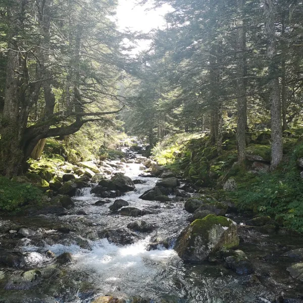 pyrenees-natura-estaing-hnre4
