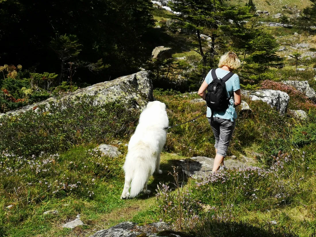 pyrenees-natura-estaing-z83eq